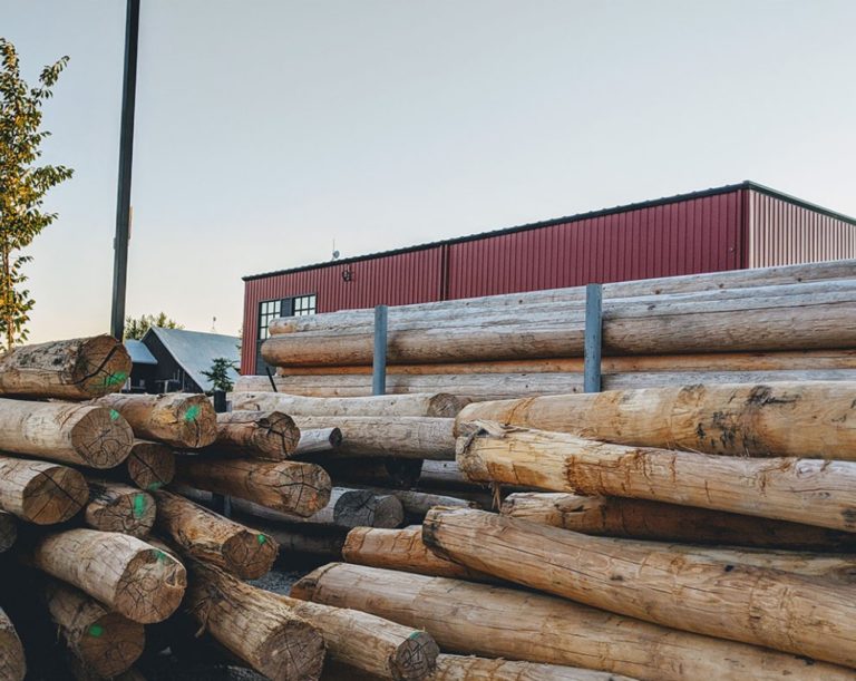 Logs ready for processing at Earthscape Play
